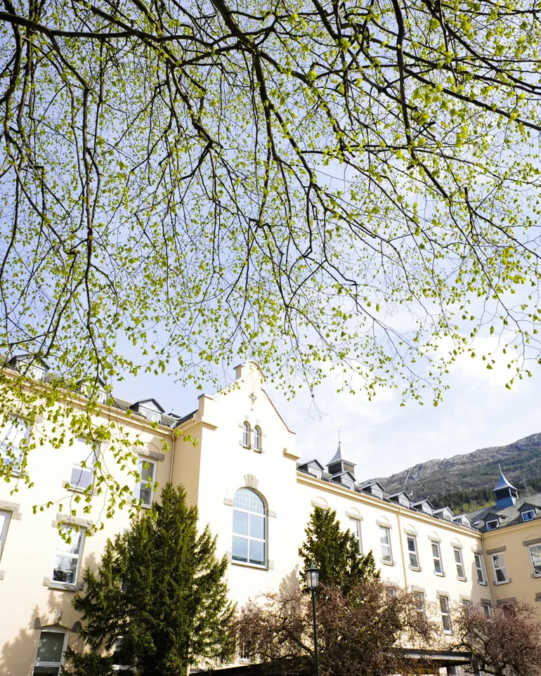 En gruppe bygninger med trær foran seg