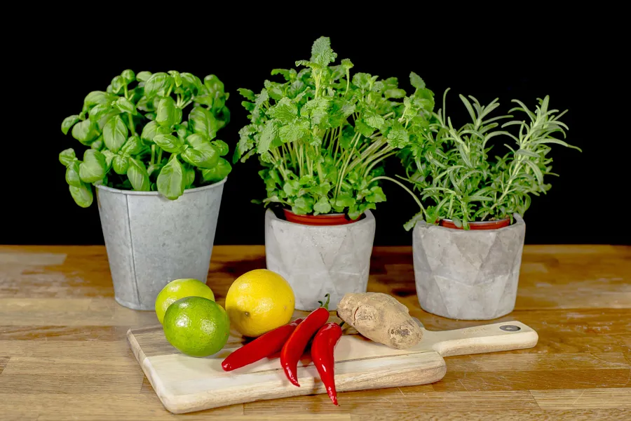 En gruppe planter og grønnsaker på et skjærebrett