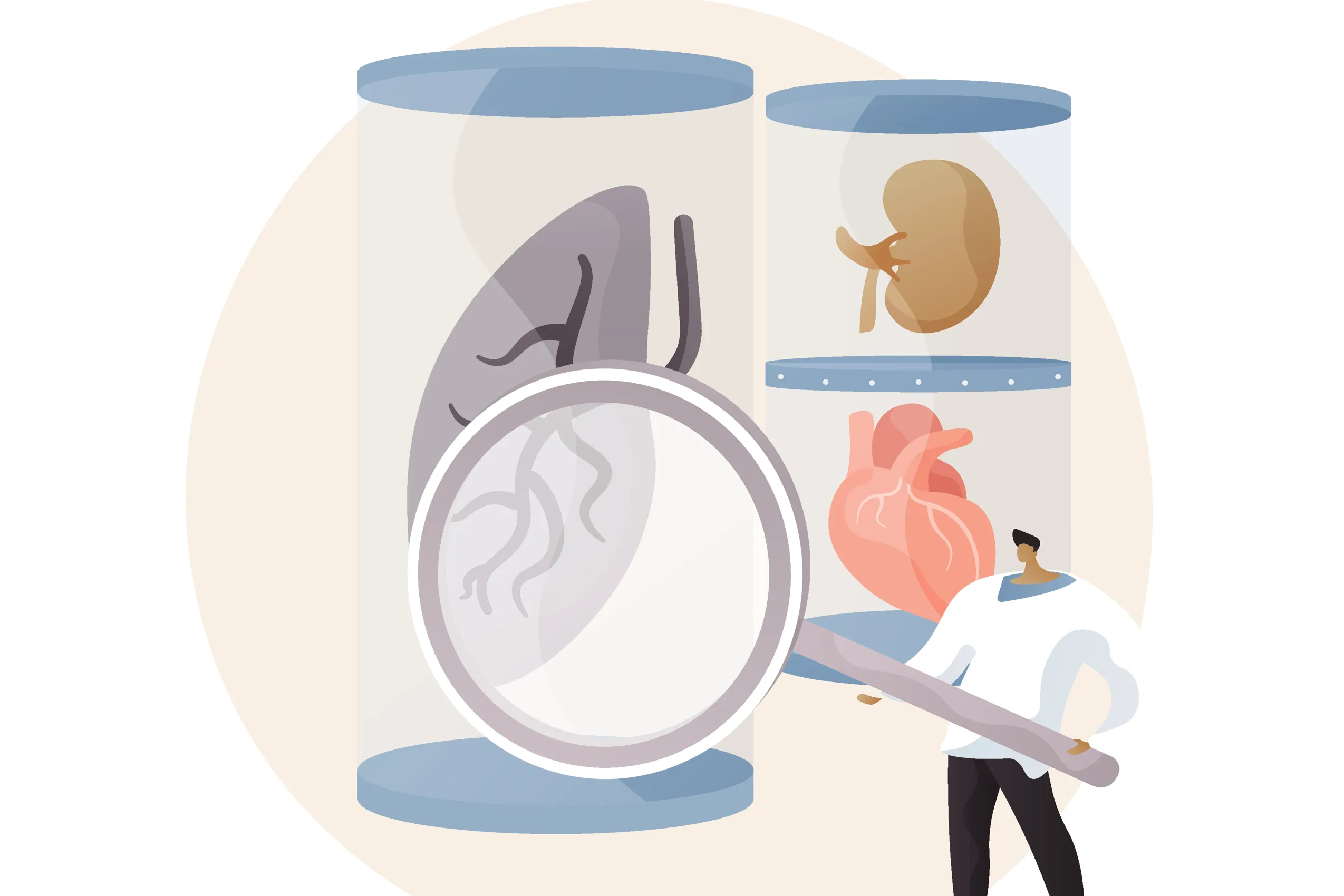 Illustration. Man with gigantic  magnifying glass looking at organs in glasses.