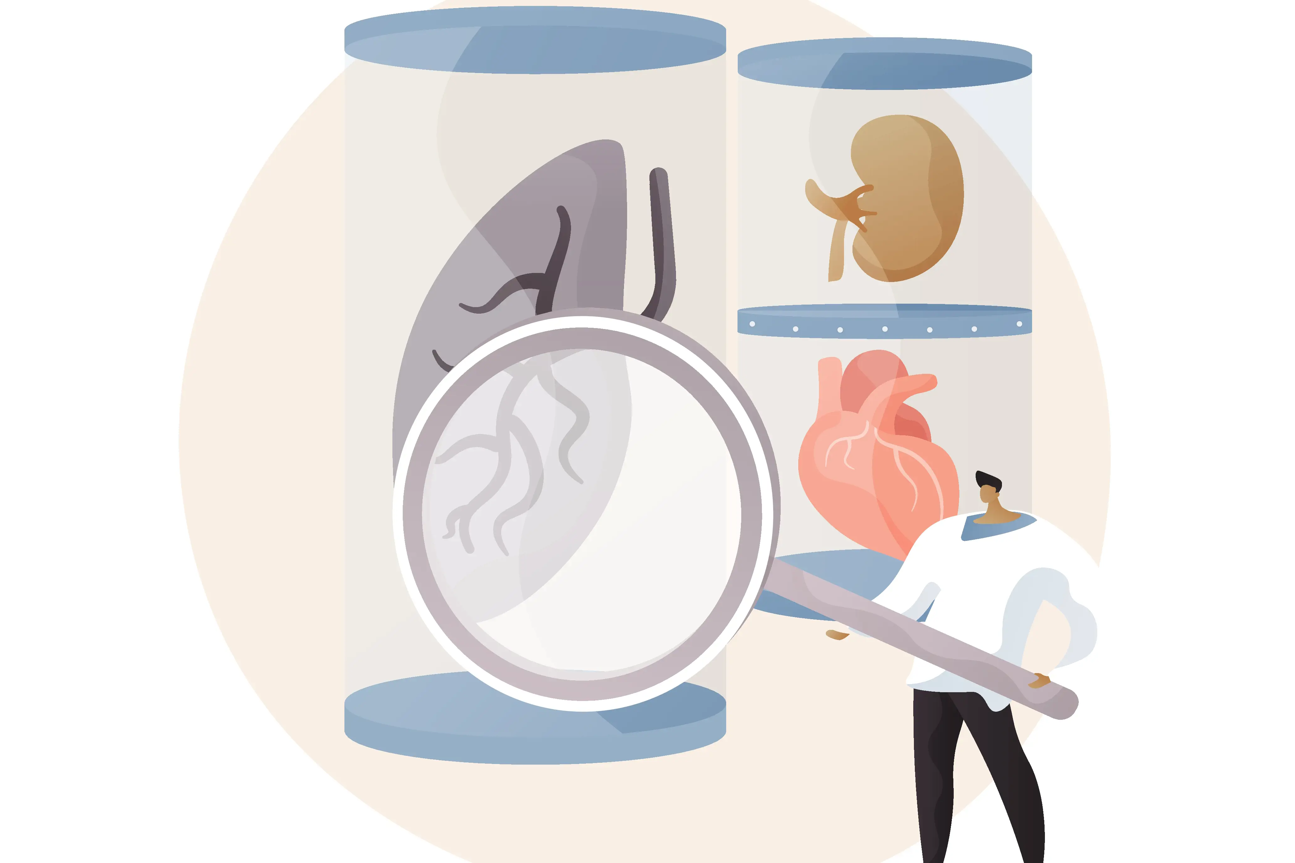 Illustration. Man with gigantic  magnifying glass looking at organs in glasses.