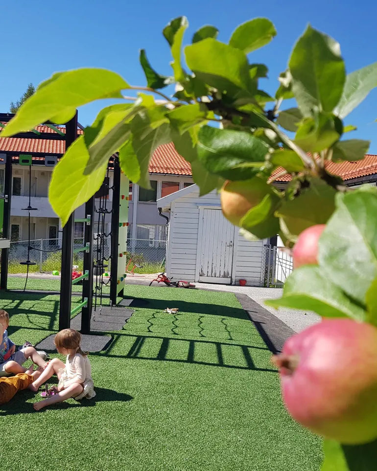To barn sitter foran lekeapparat ved side av epletre. Foto