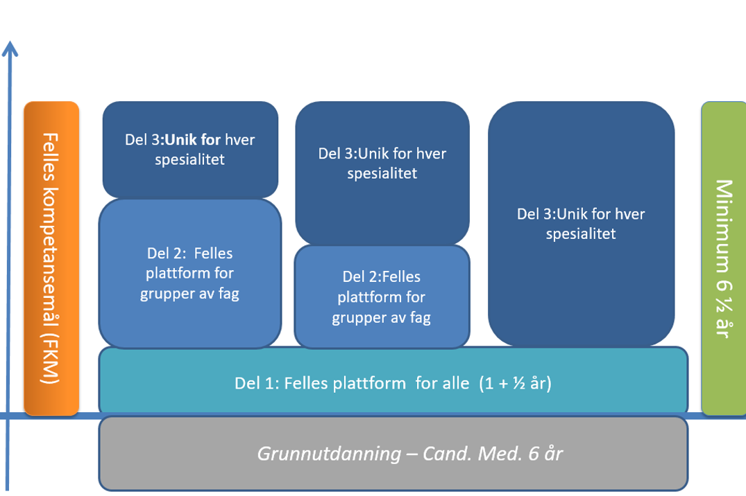 Modell som viser utdanningsløp fra grunnutdanning til ferdig spesialist. Illustrasjon