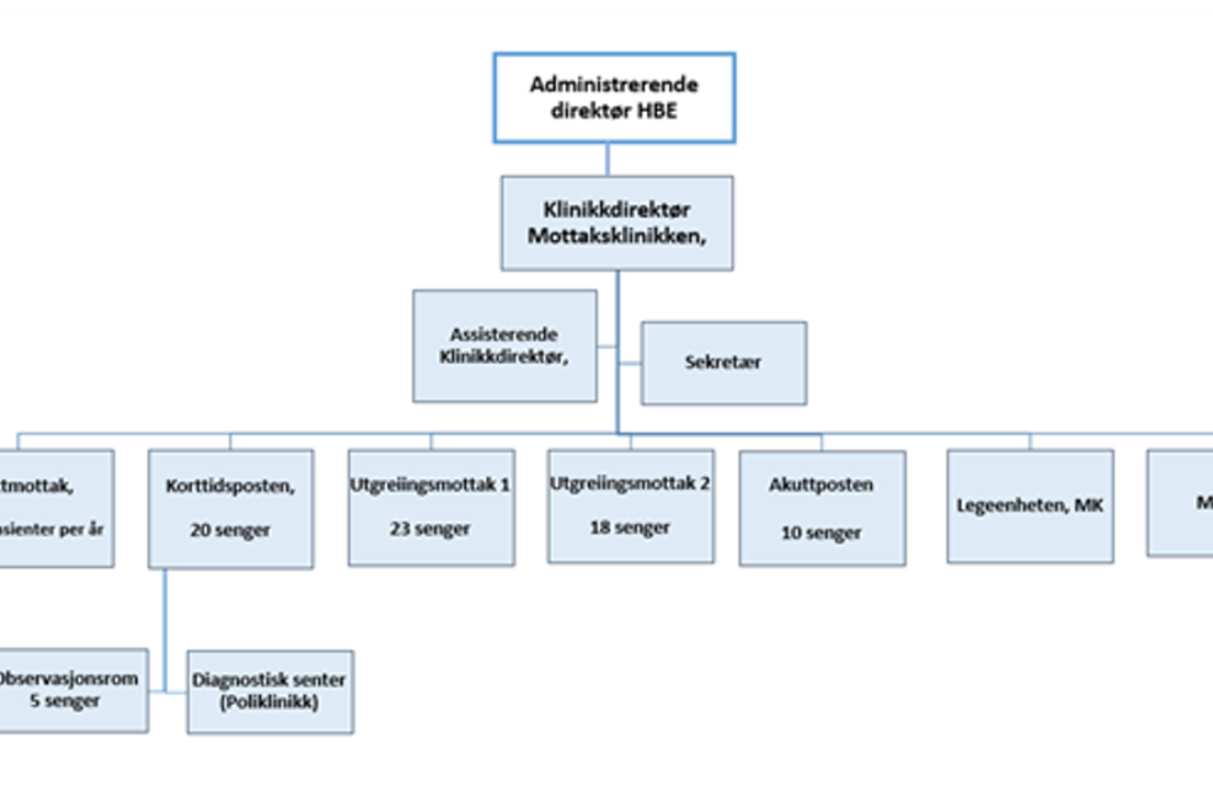 Organisasjonskart Mottaksklinikken. Grafisk illustrasjon