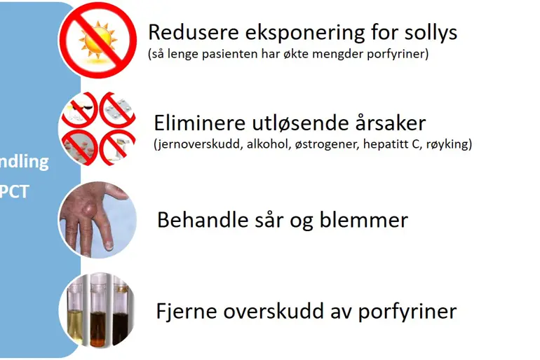 Illustrasjon 1 De fire behandlingskomponentene oppdatert 2019.jpg