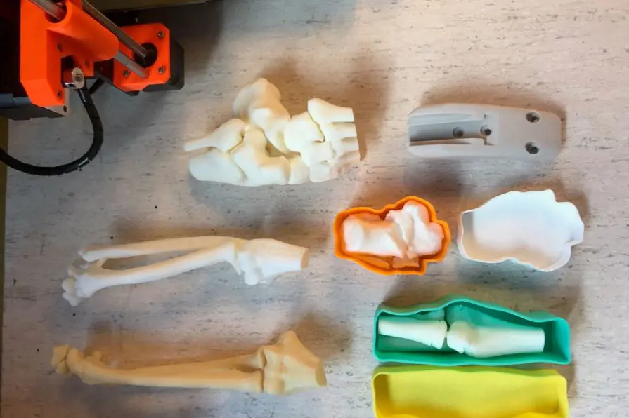 3D modeller av ulike bein og knokler. Foto