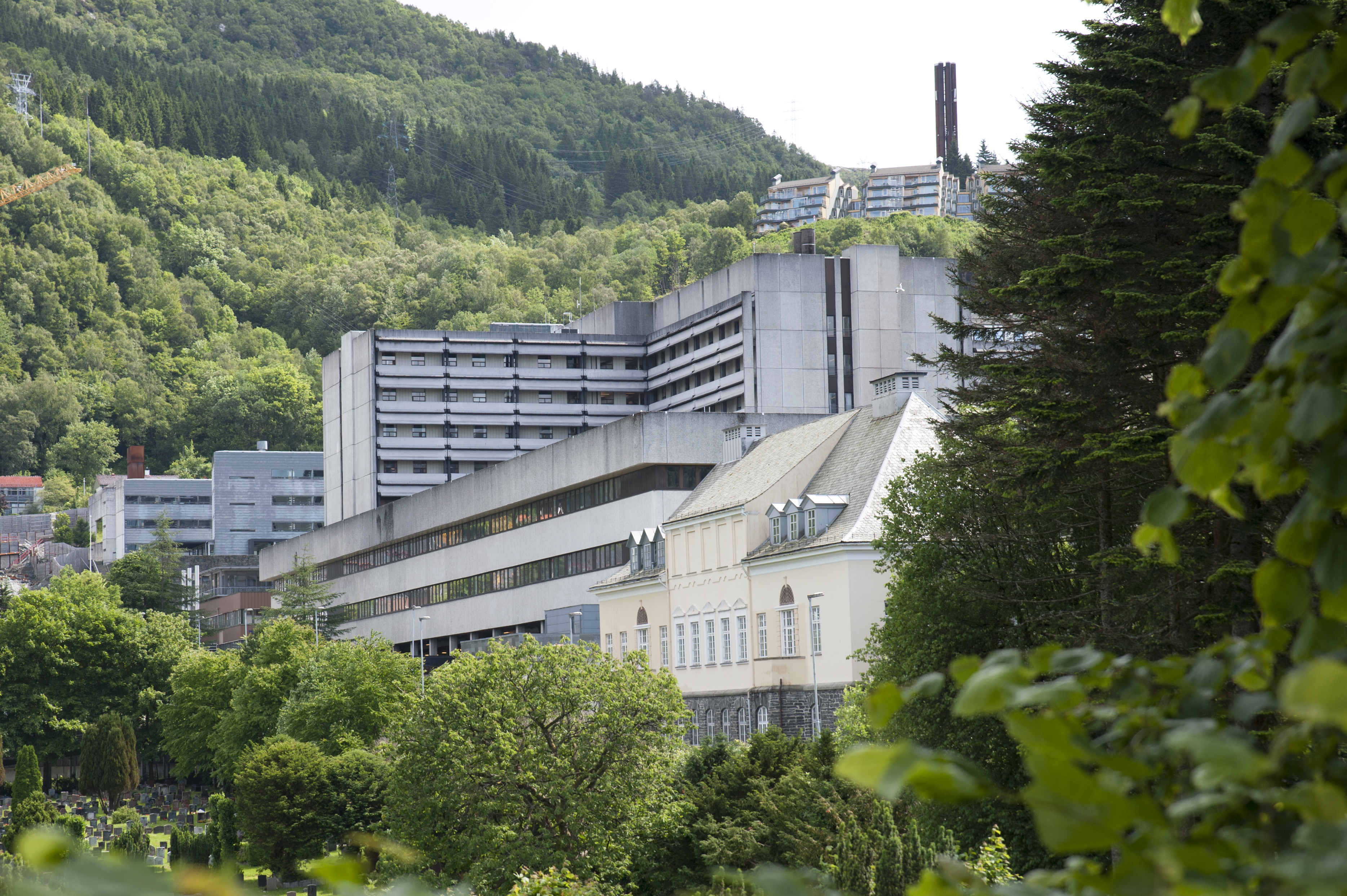 Ortopedisk Klinikk - Helse Bergen HF