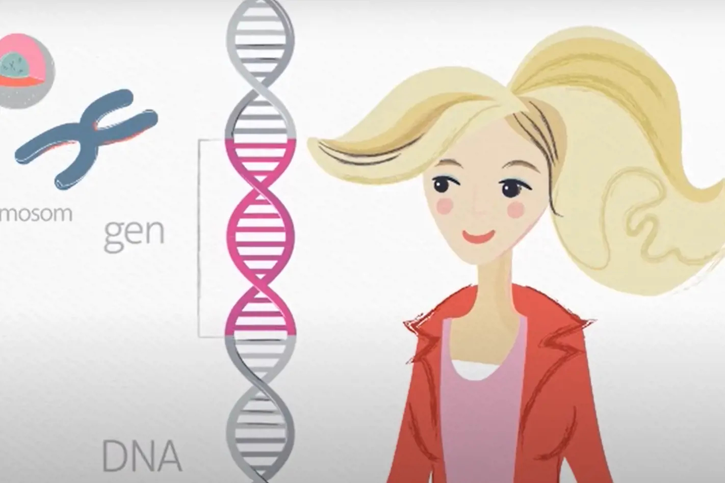 Kvinne og modeller av celle, kromosom, gen og DNA. Illustrasjon
