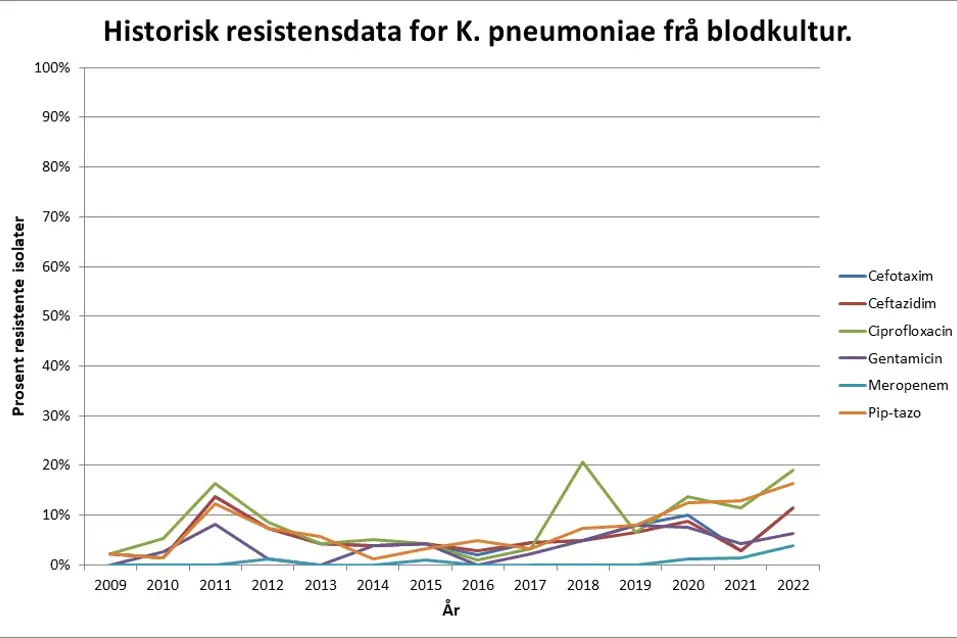 Grafisk fremstilling av historisk resistensdata for K. pneumoniae frå blodkultur