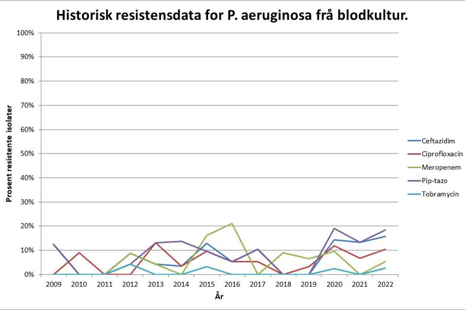 Grafisk fremstilling av historisk resistensdata for P. aeruginosa frå blodkultur.
