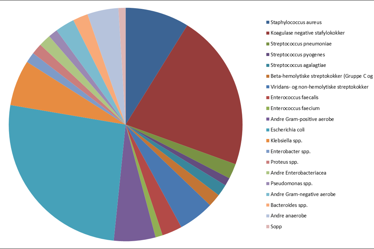 Agensfordeling 2017.png