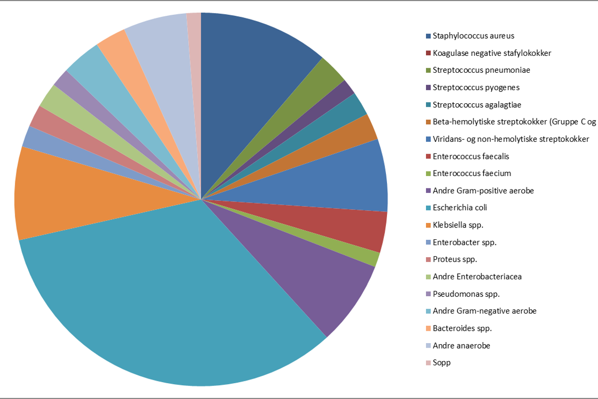 Agensfordeling_eksl hud 2017.png