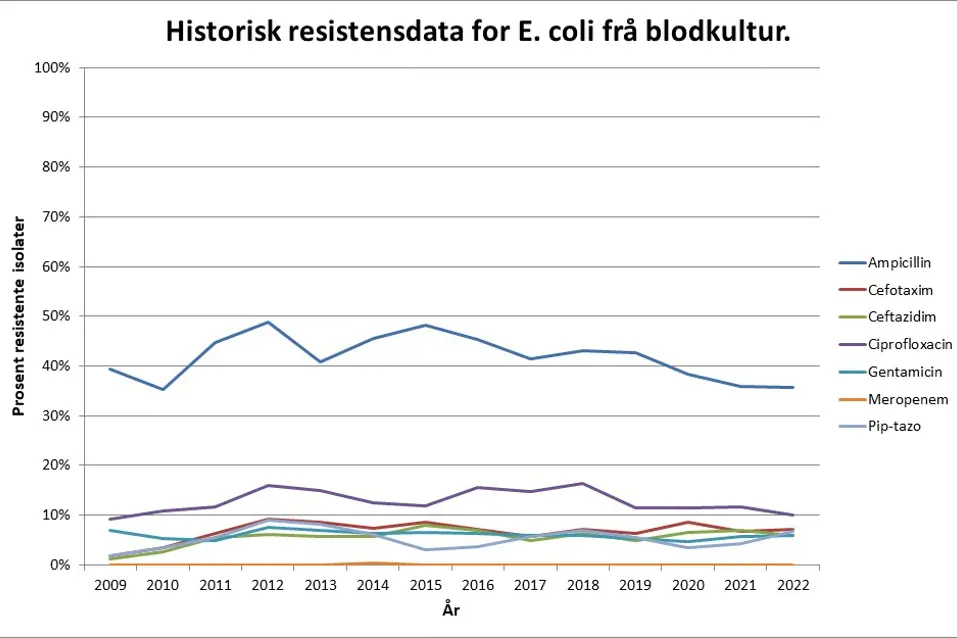 Grafisk fremstilling av historisk resistensdata for E.coli frå blodkultur.