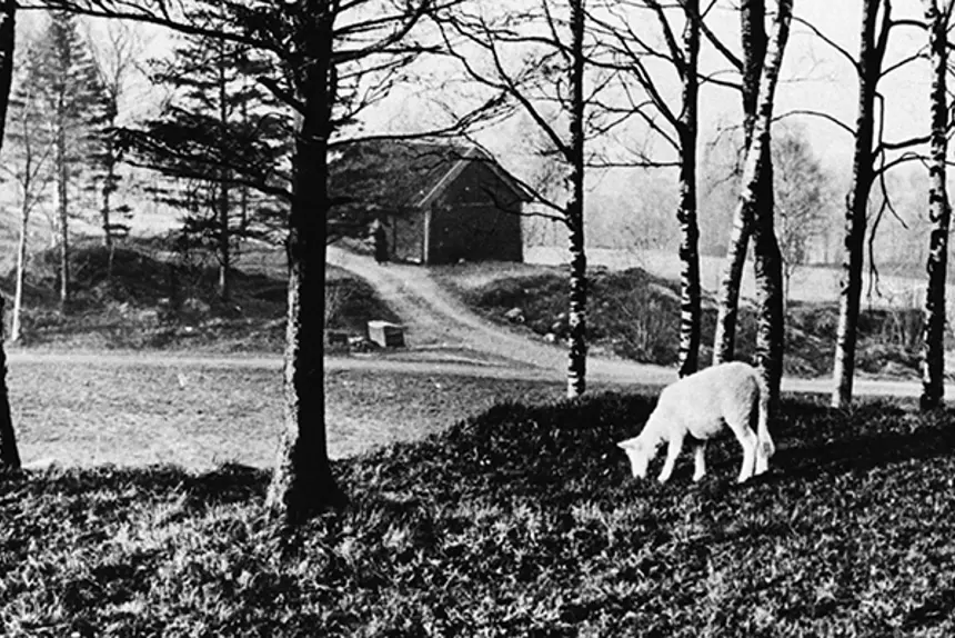 Haukeland 1890