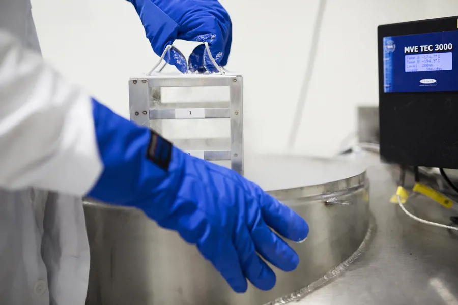 Interiør laboratorium, arm ikledd blå hanske henter prøver fra fryselager. Foto