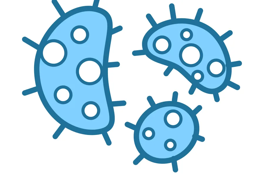 Illustrasjon av bakterier. Foto