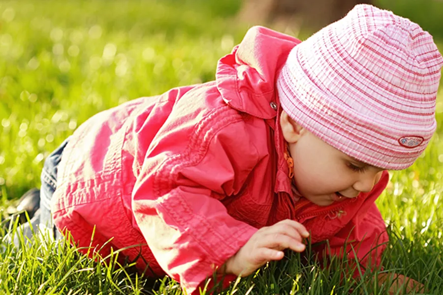 Baby kryper i gresset. Foto