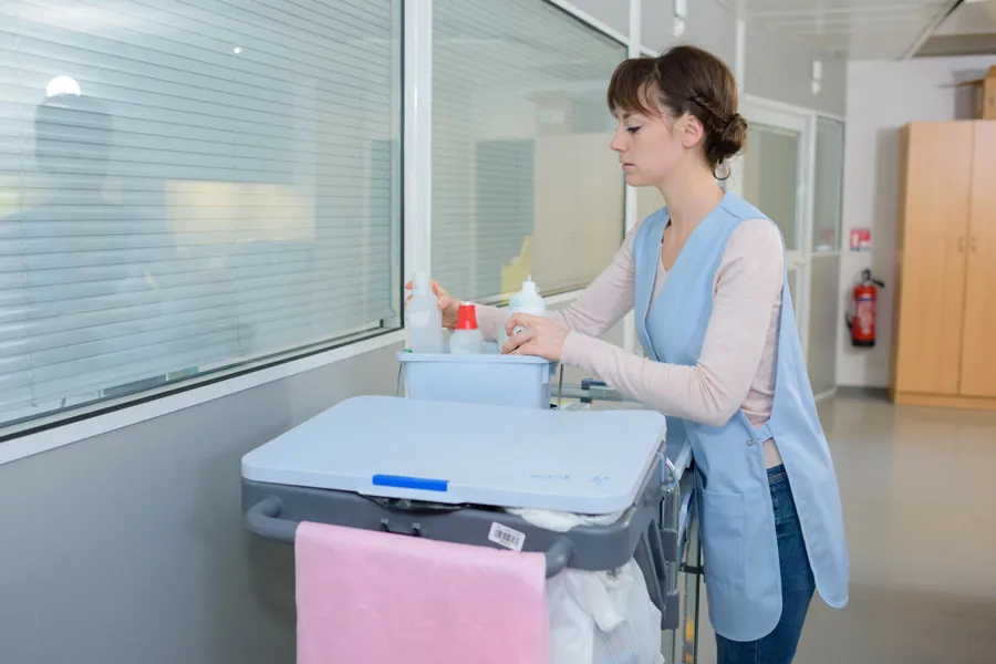 woman cleaning.foto