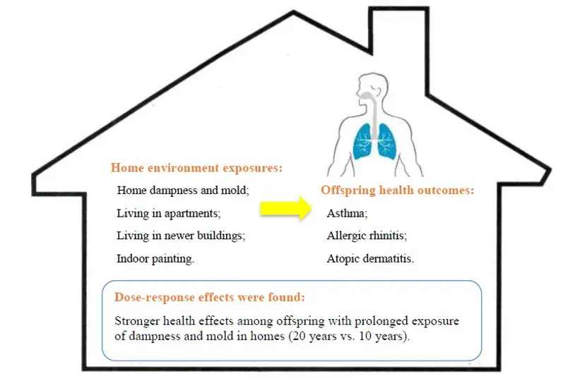 Illustration showing home environment exposures and offspring health outcomes and findings.