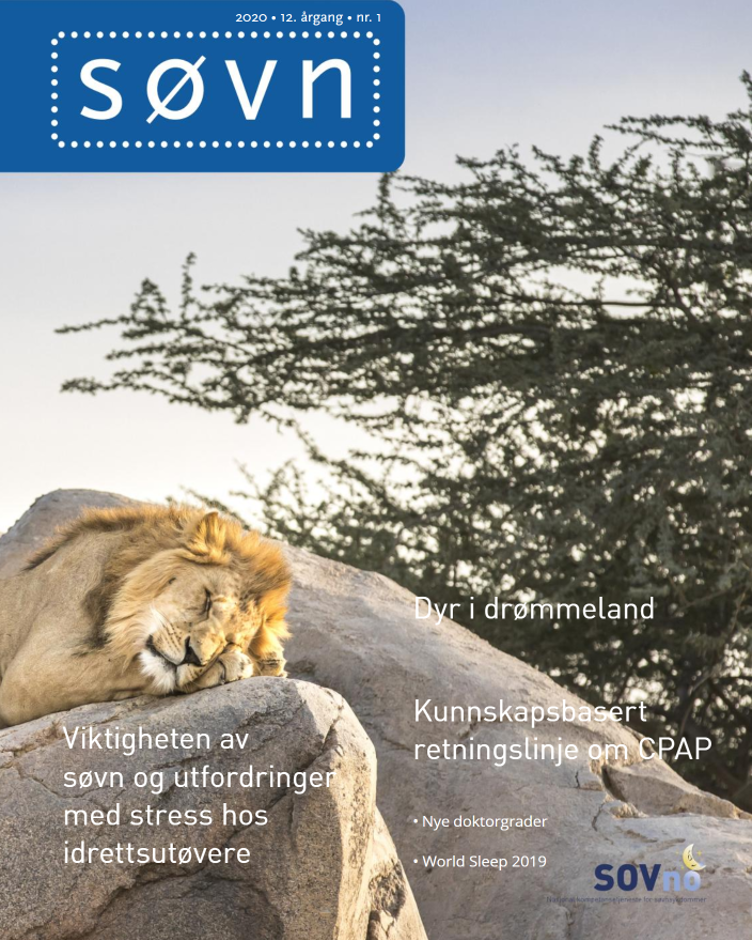 En løve som ligger på en stein